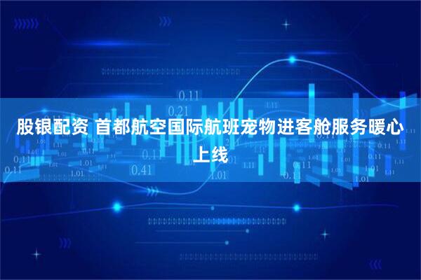 股银配资 首都航空国际航班宠物进客舱服务暖心上线