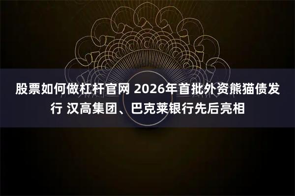 股票如何做杠杆官网 2026年首批外资熊猫债发行 汉高集团、巴克莱银行先后亮相